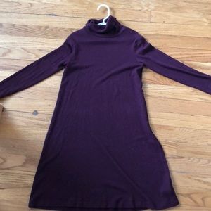 American Eagle Turtleneck Dress